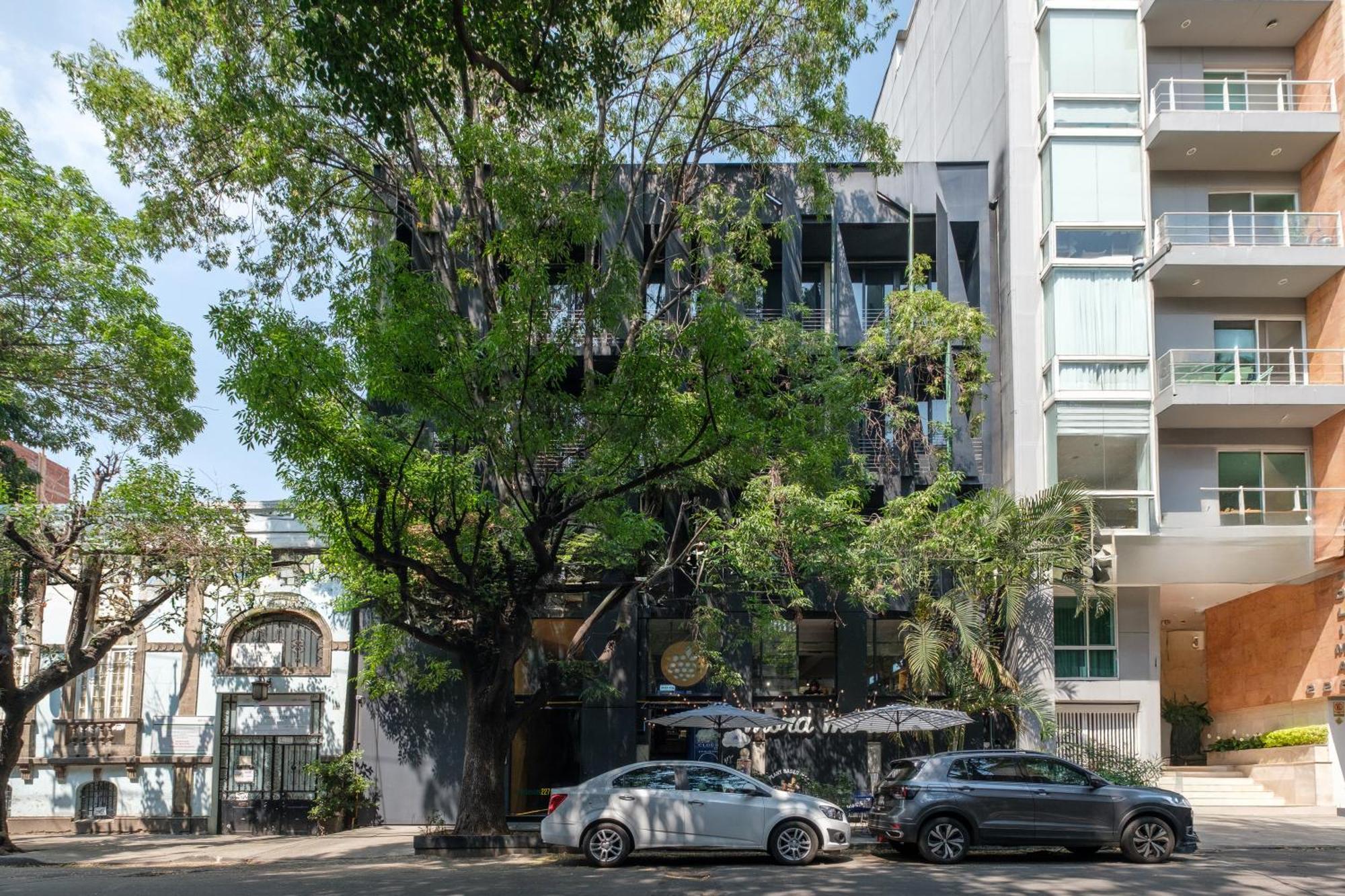 Boga Mexico City By Lumina 外观 照片